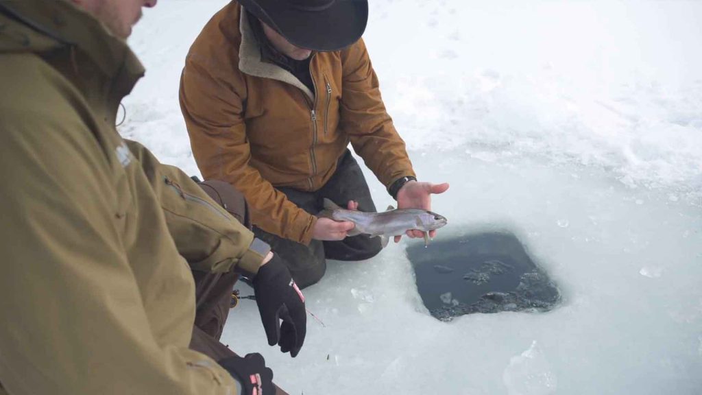 Ice Fishing For Trout